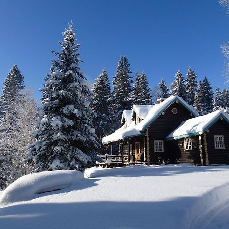 Domaine Le Bostonnais - Le Village En Bois Rond La Tuque Exteriér fotografie