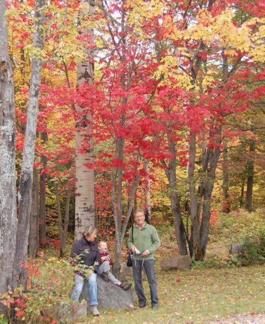 Domaine Le Bostonnais - Le Village En Bois Rond La Tuque Exteriér fotografie