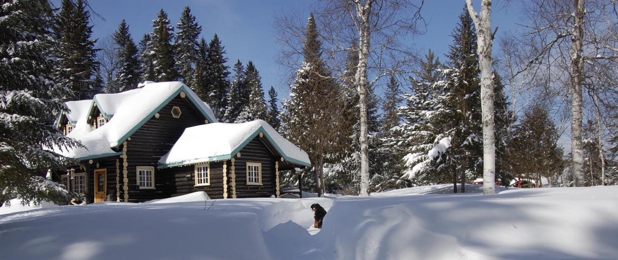 Domaine Le Bostonnais - Le Village En Bois Rond La Tuque Exteriér fotografie