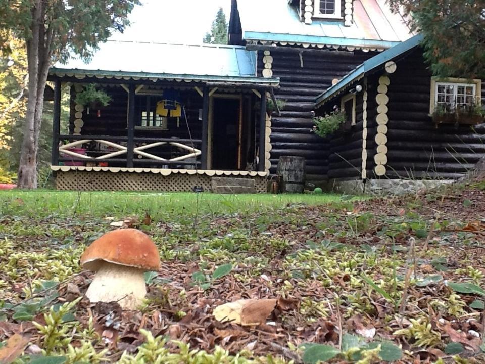 Domaine Le Bostonnais - Le Village En Bois Rond La Tuque Exteriér fotografie