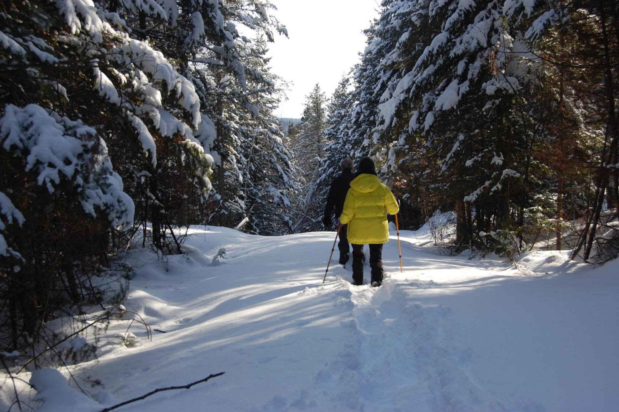 Domaine Le Bostonnais - Le Village En Bois Rond La Tuque Exteriér fotografie